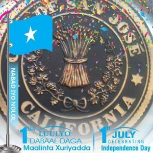 Meet your Posher, Ahmed